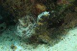 Curacao 04-12 065